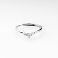 ANELLO BLISS